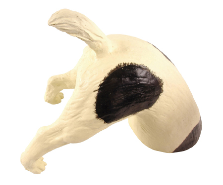 E57 AV01